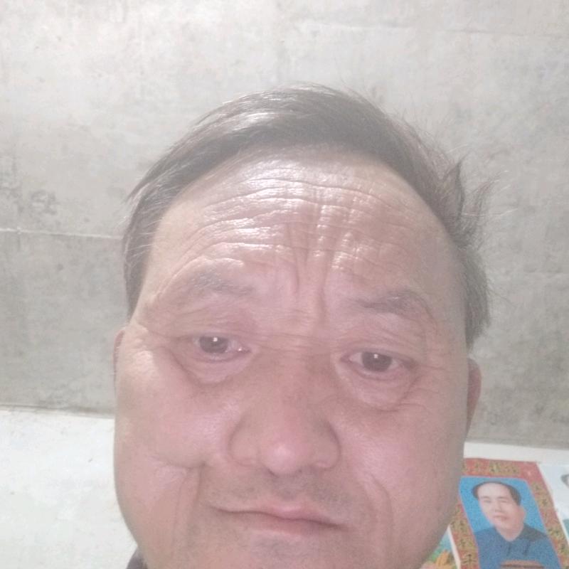 一剑风行