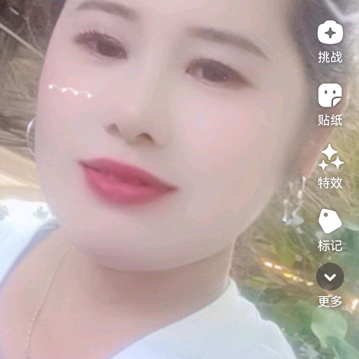 枯叶蝶