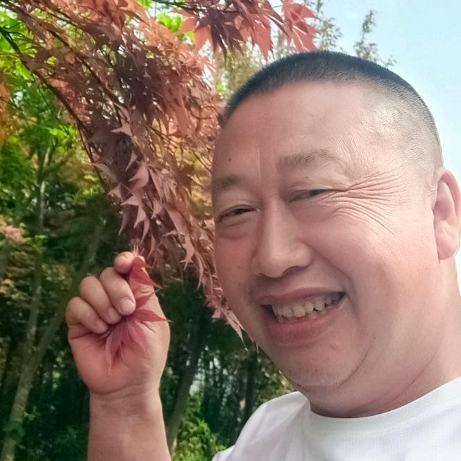 沈德召