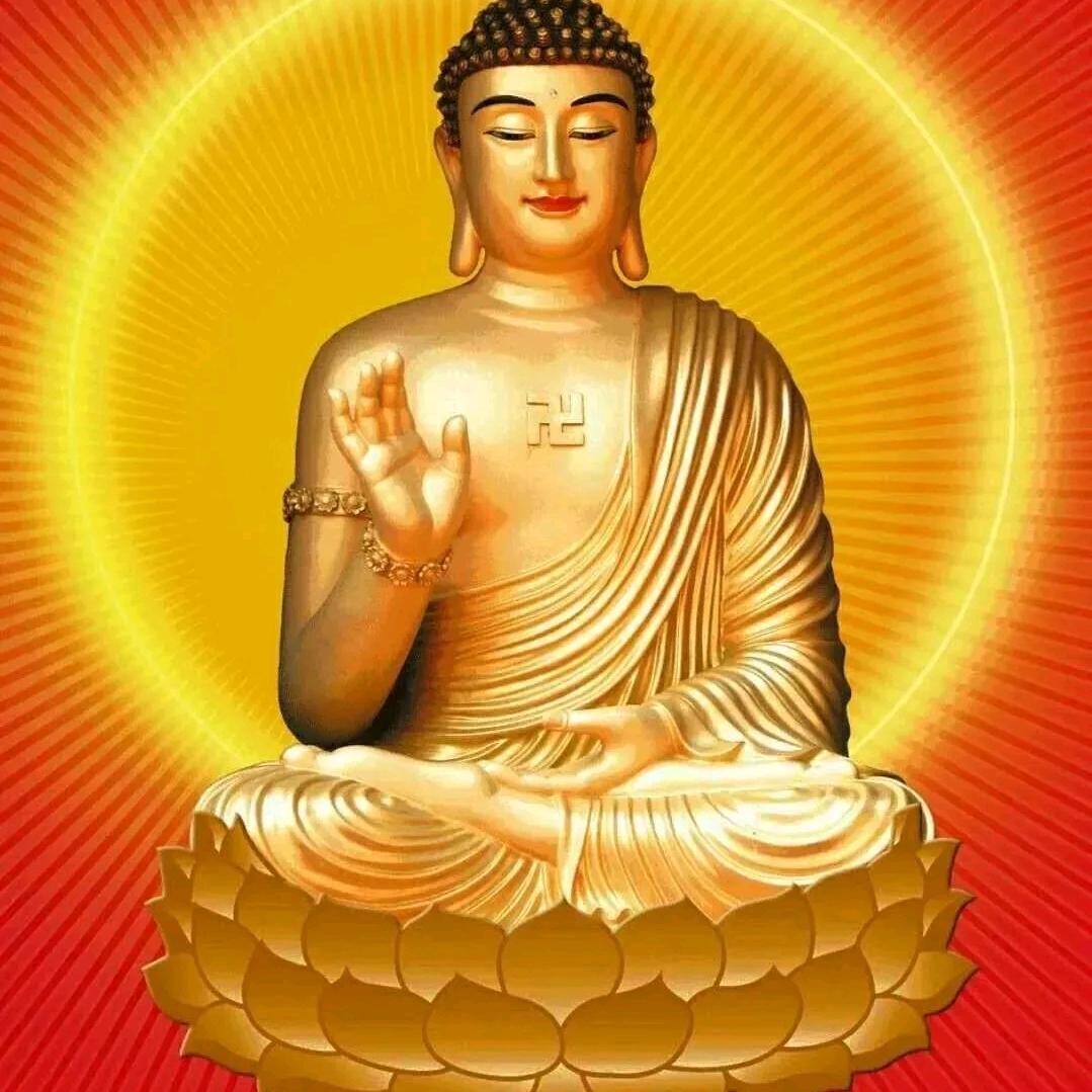 不修今生 只求来世