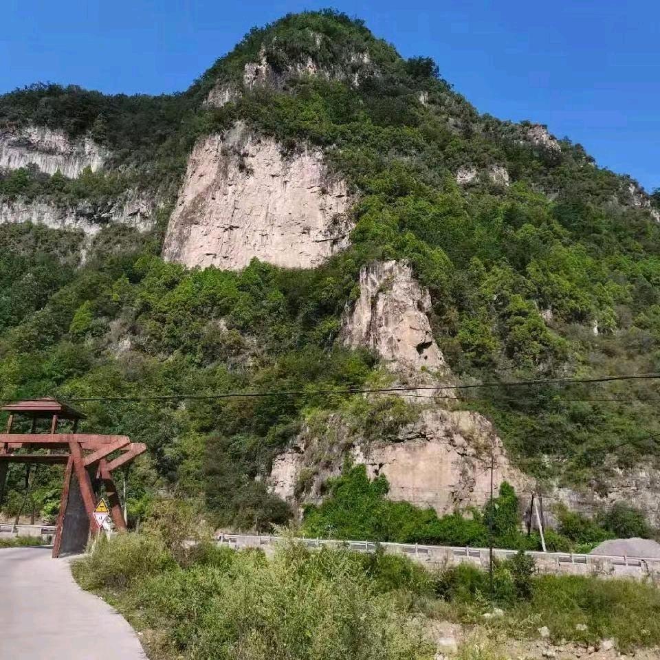 沉默
