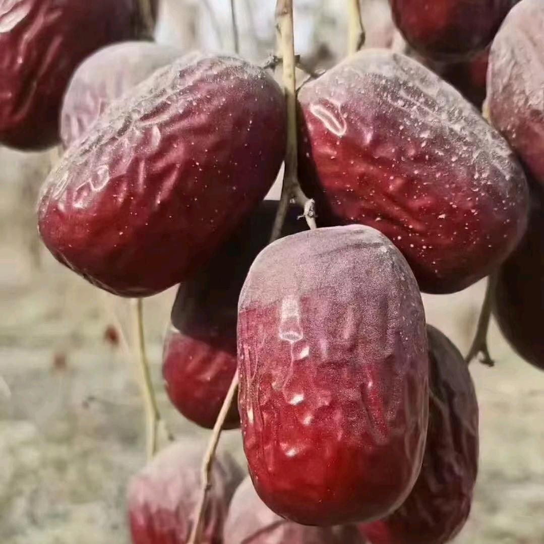 新疆特产直供号