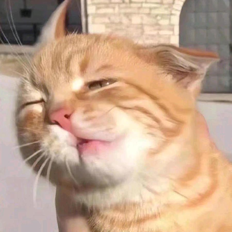 怪喵