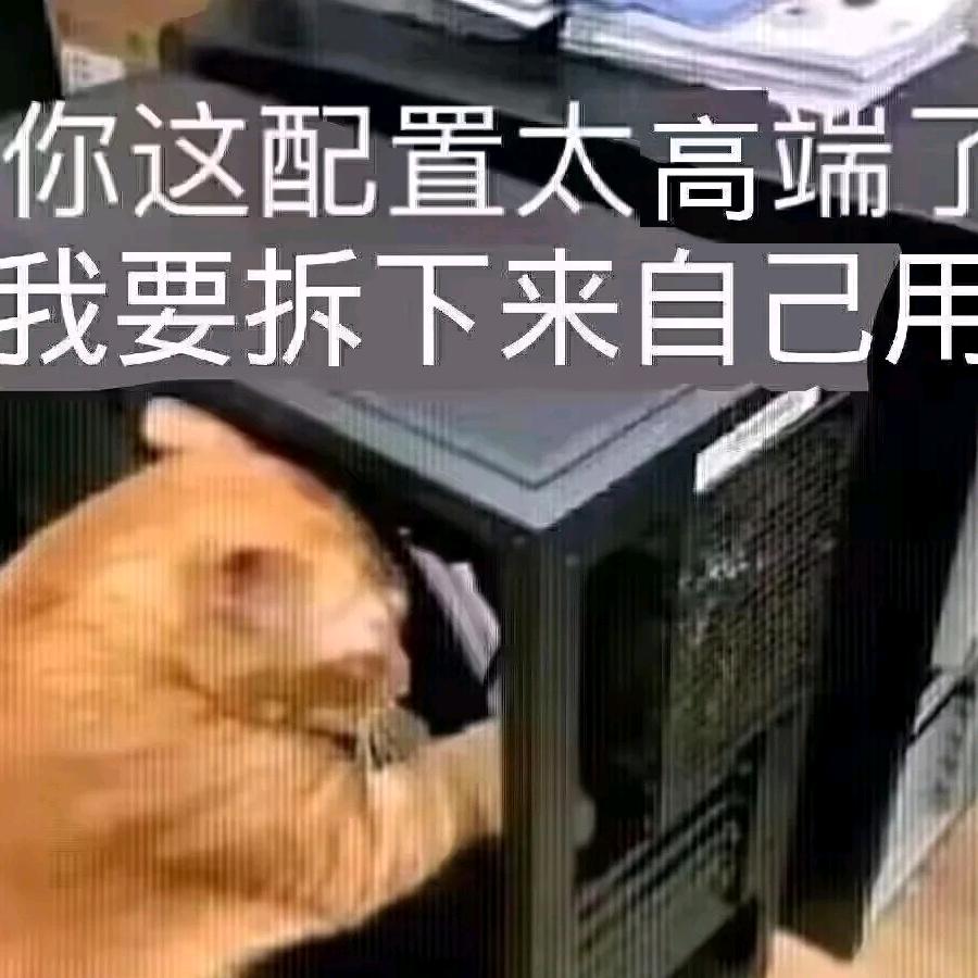 林中暮雨yun头像