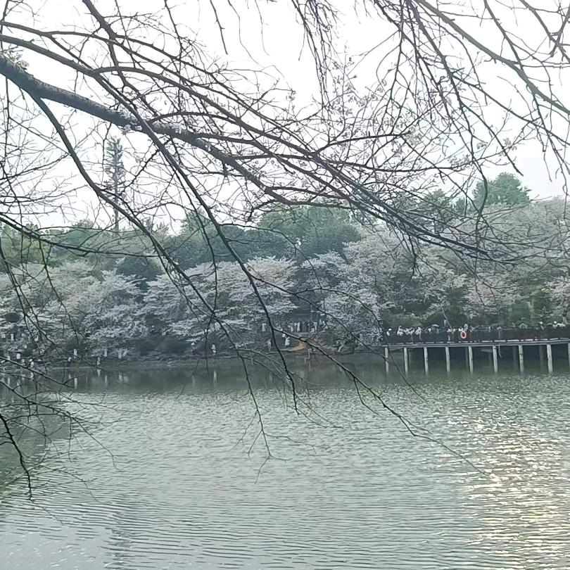 时光无声