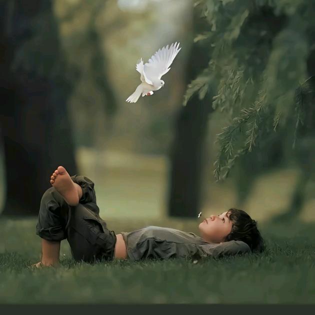 洛松次仁🌱🍏