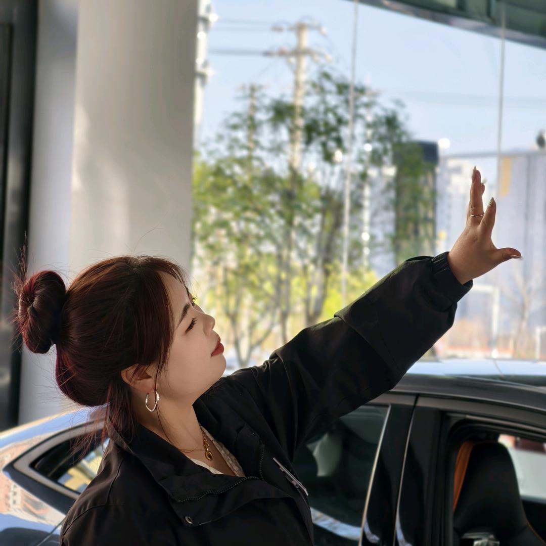 丹凤买车来永顺找小高