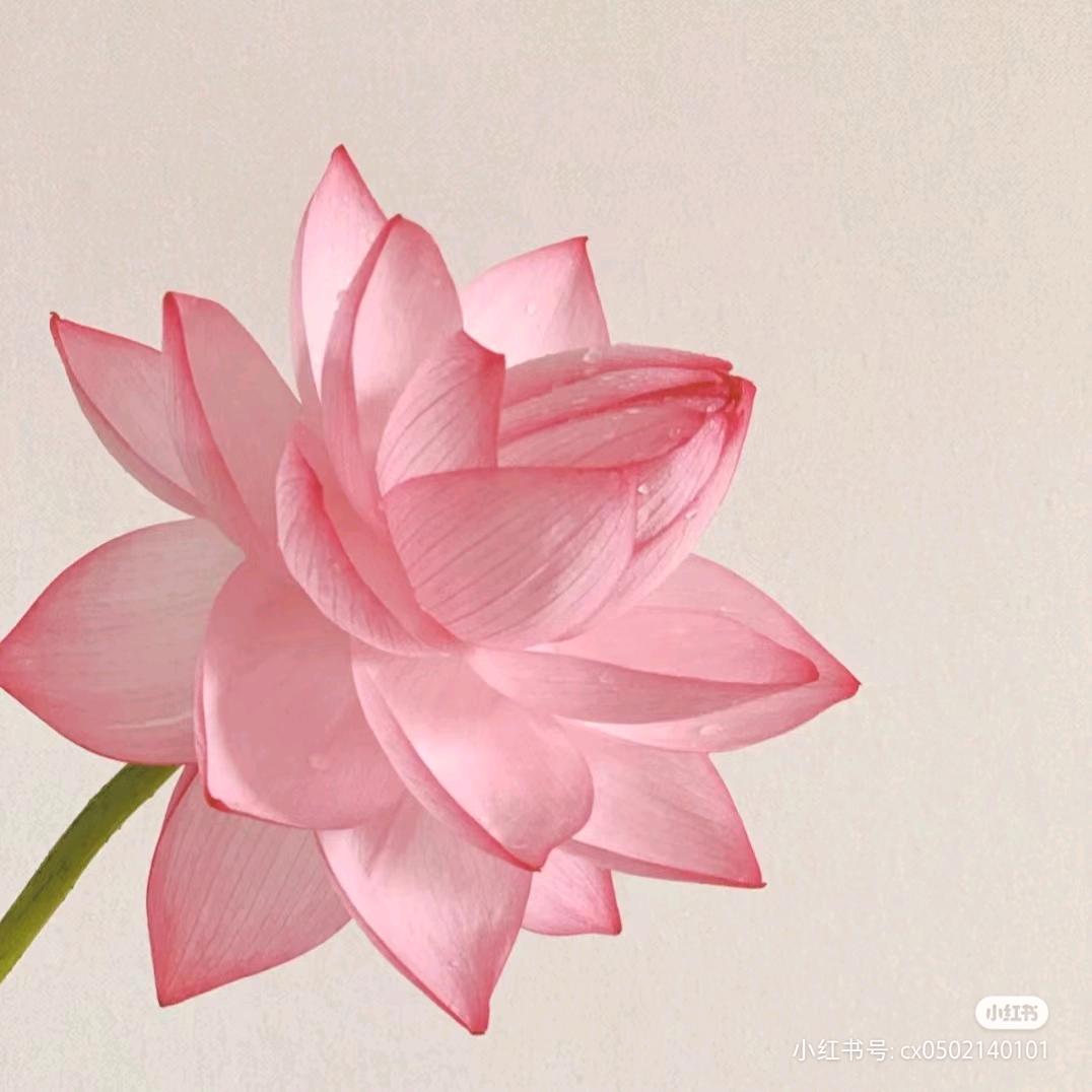 好运连连，连连好运。