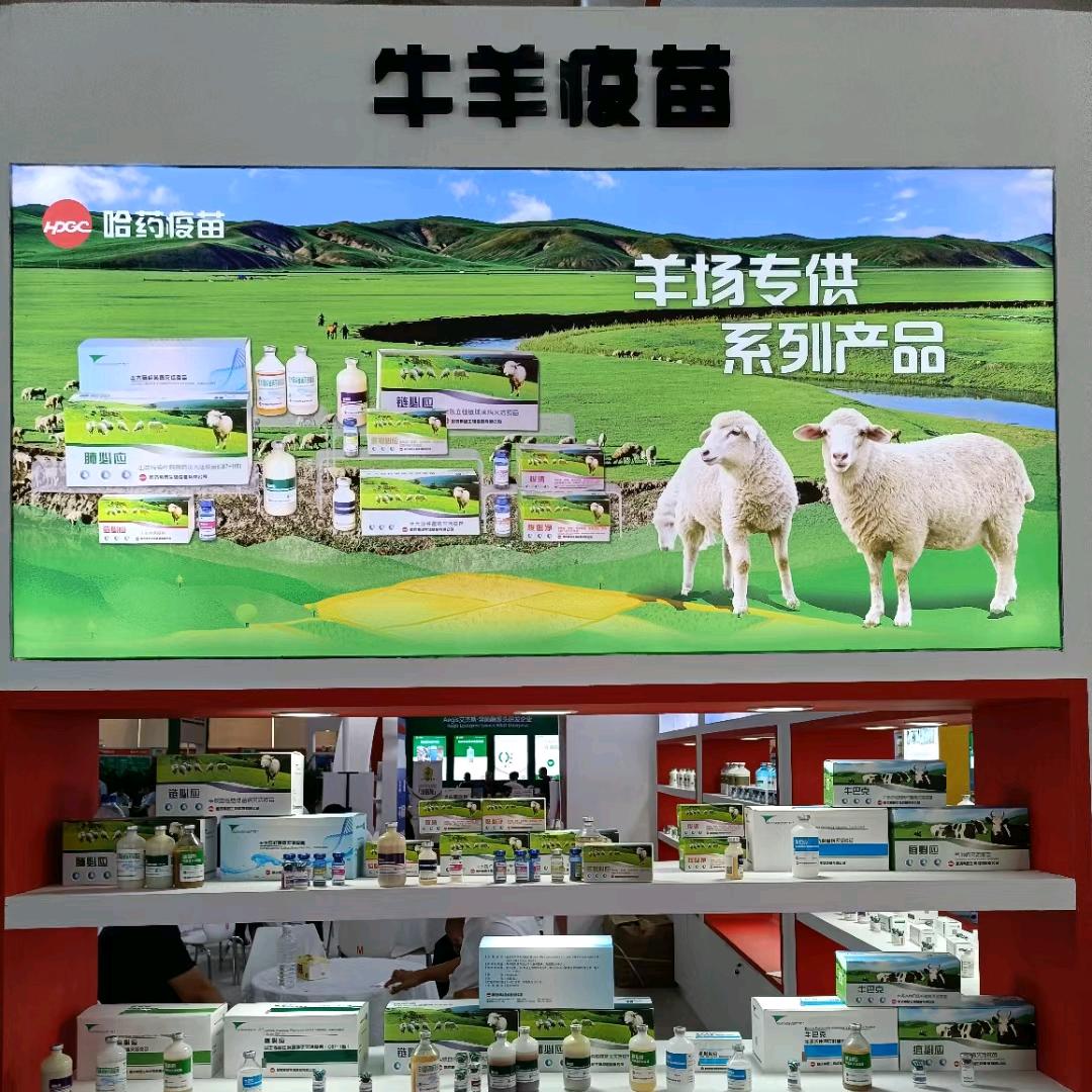 东北益牧动保服务部