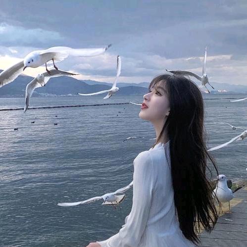 琪琪吖