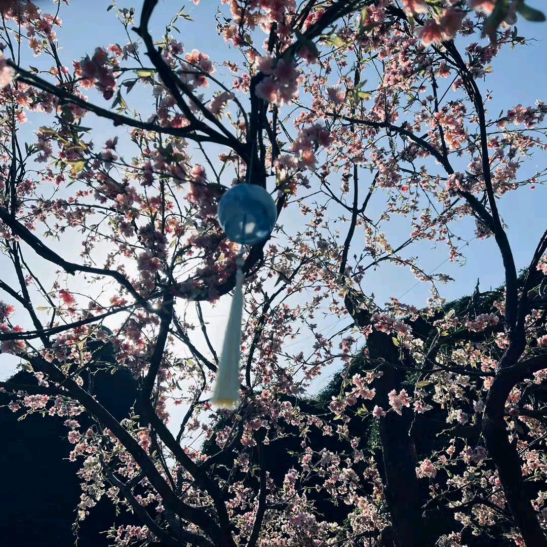 磊好