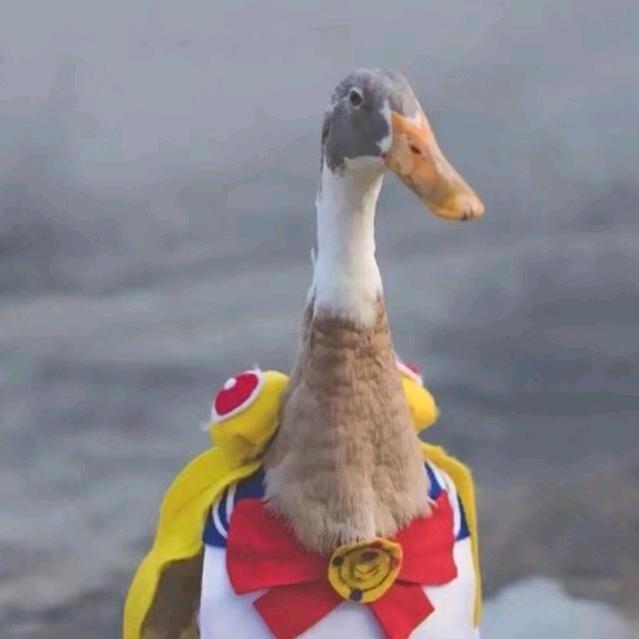 梅元知·