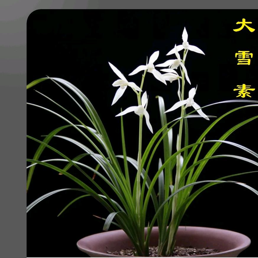 陪你走今生1688左df