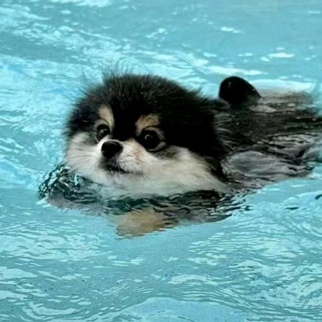 长大了我想当面包人