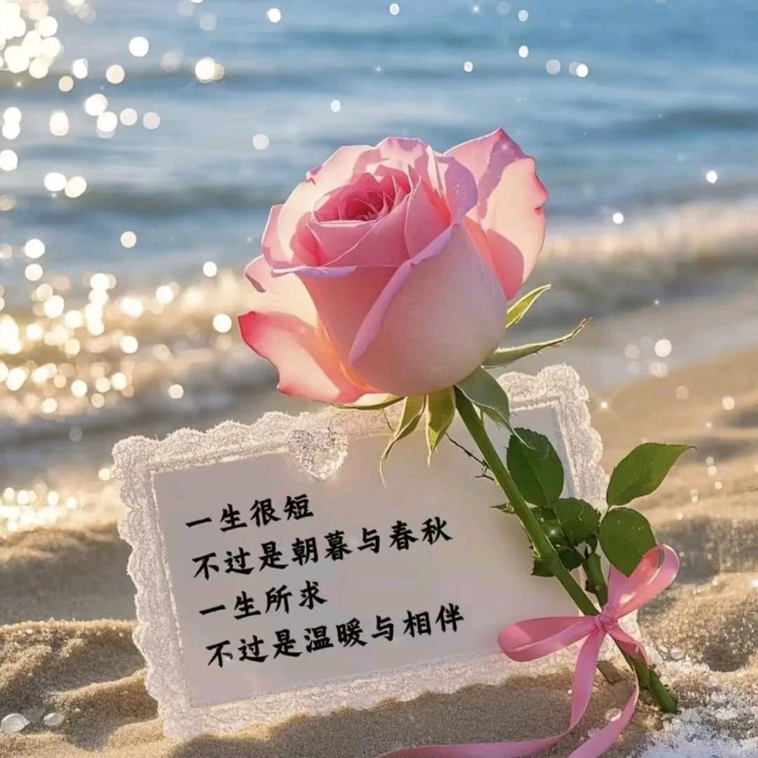 💞ঞ᭄丽໊໊ꦿ