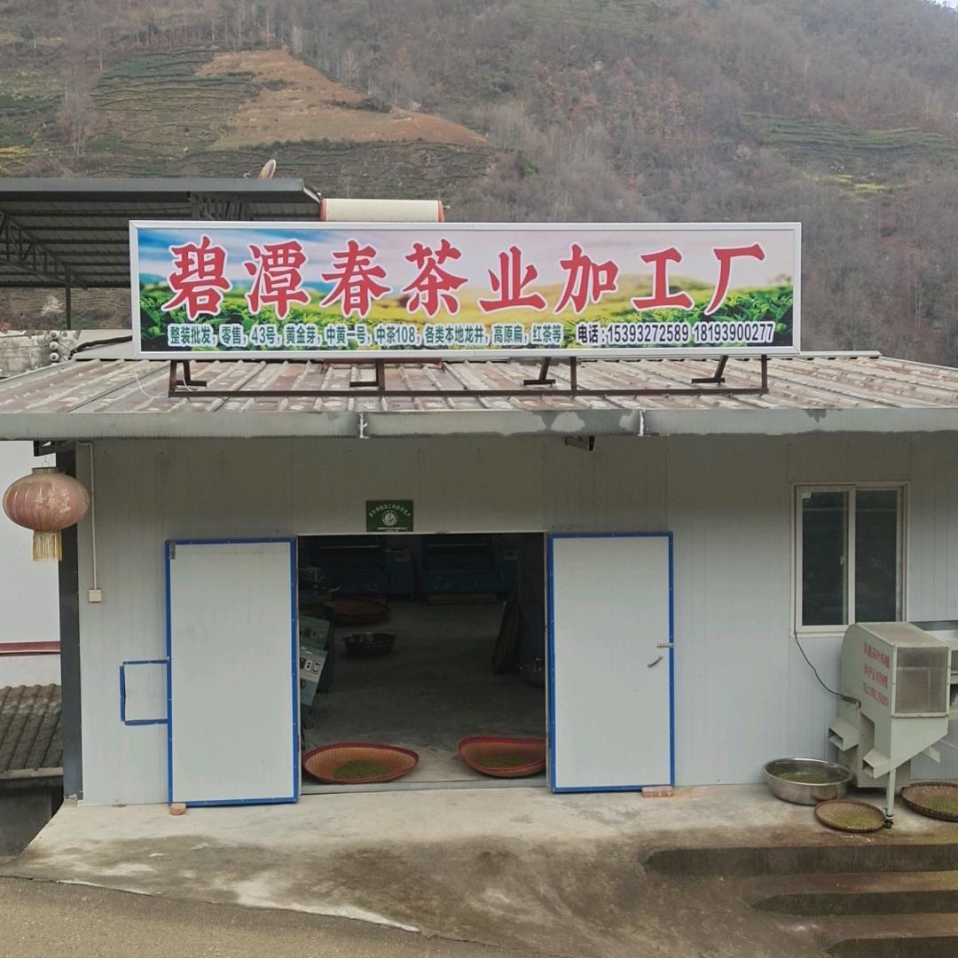 碧潭春茶庄