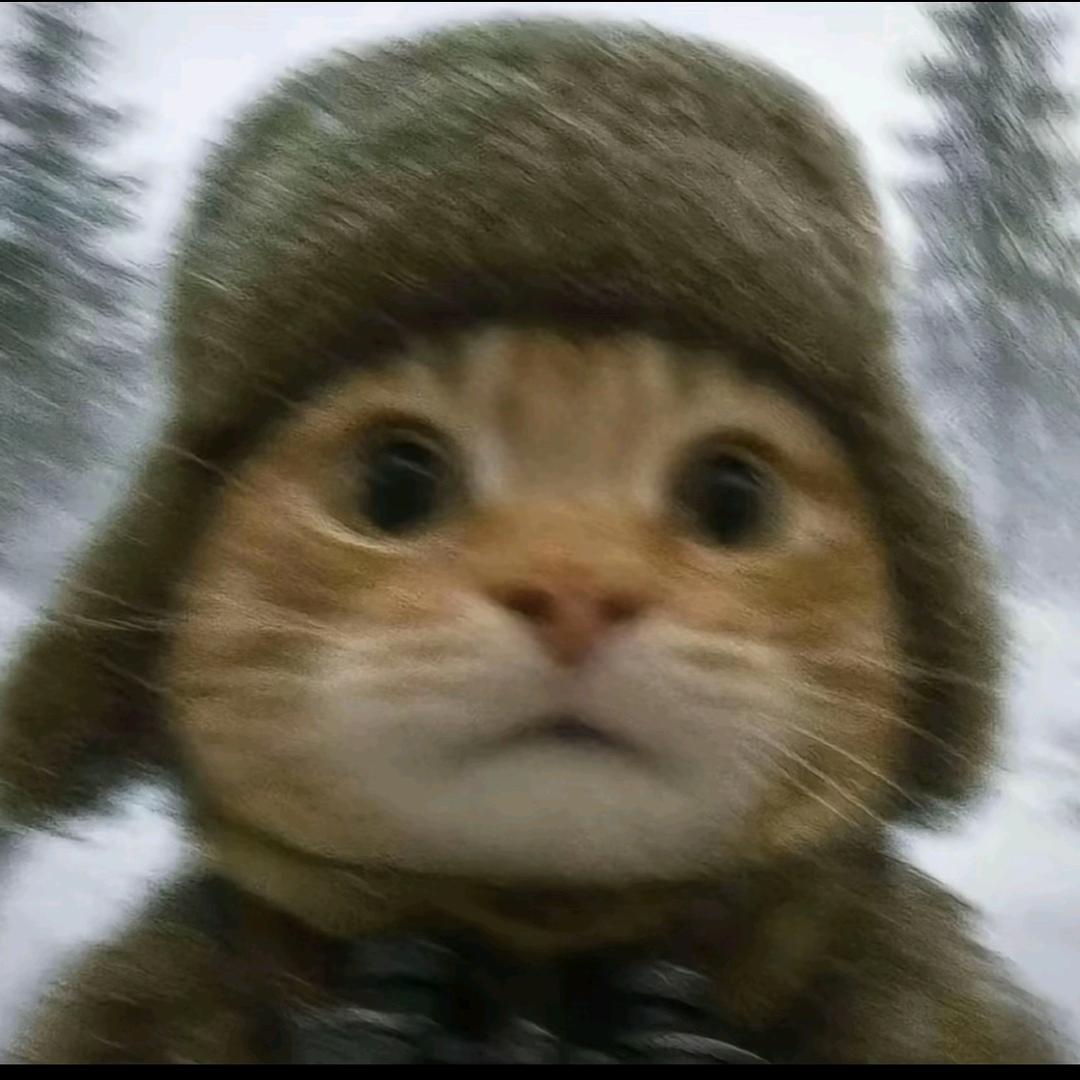 林.