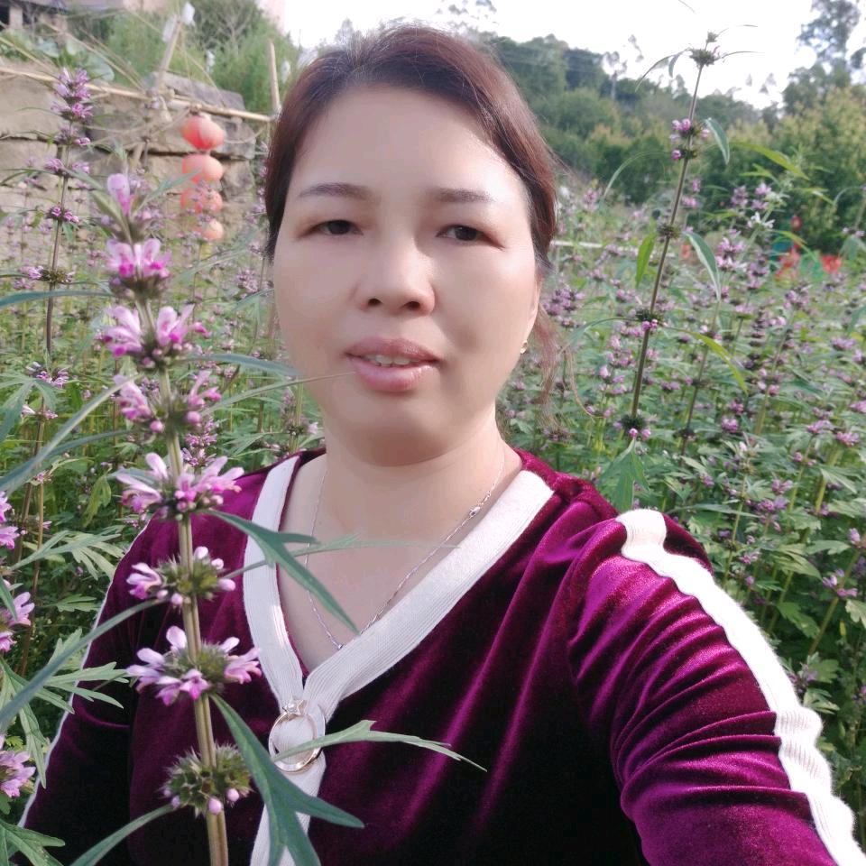 开心每一天🐯️