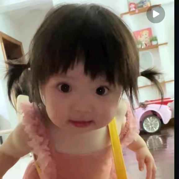 重脚恐龙