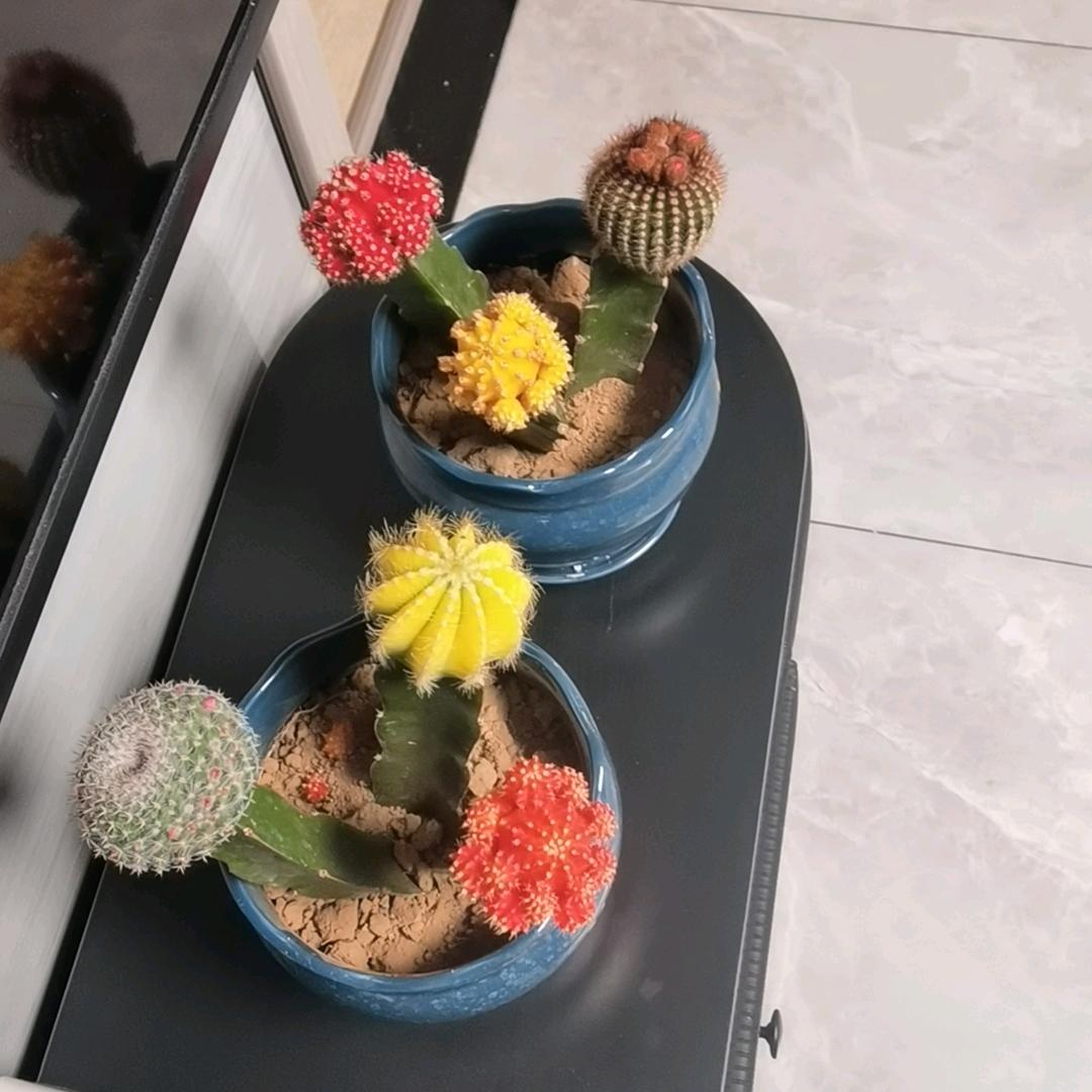 欣不生气