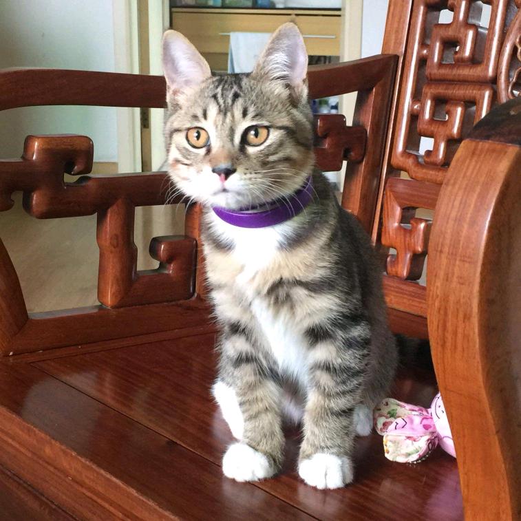 阿拉丁🌈*🌈*☀️☀️