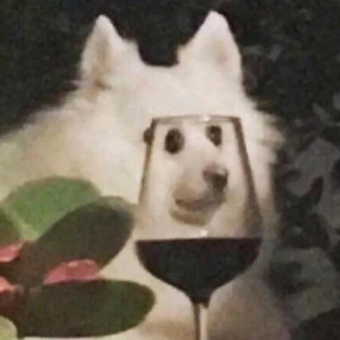 等风来