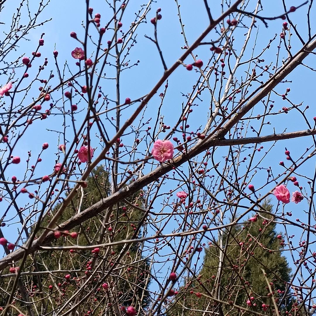 新姐好物