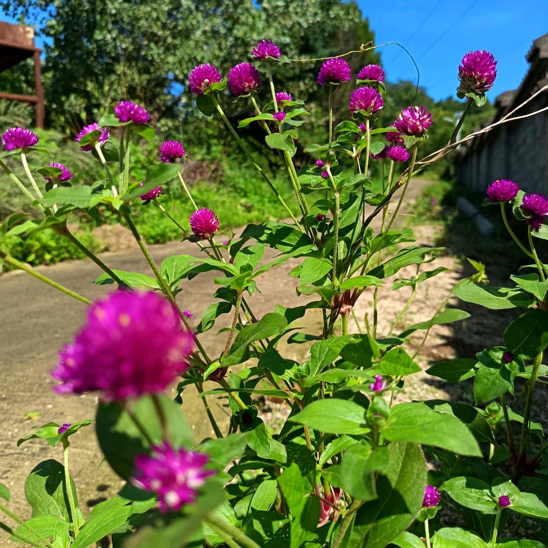 用户4082145296561王者荣耀