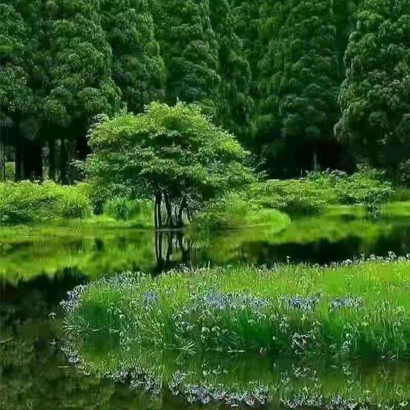 霸气