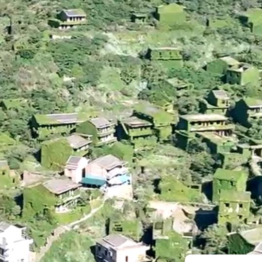 开开心心每一天