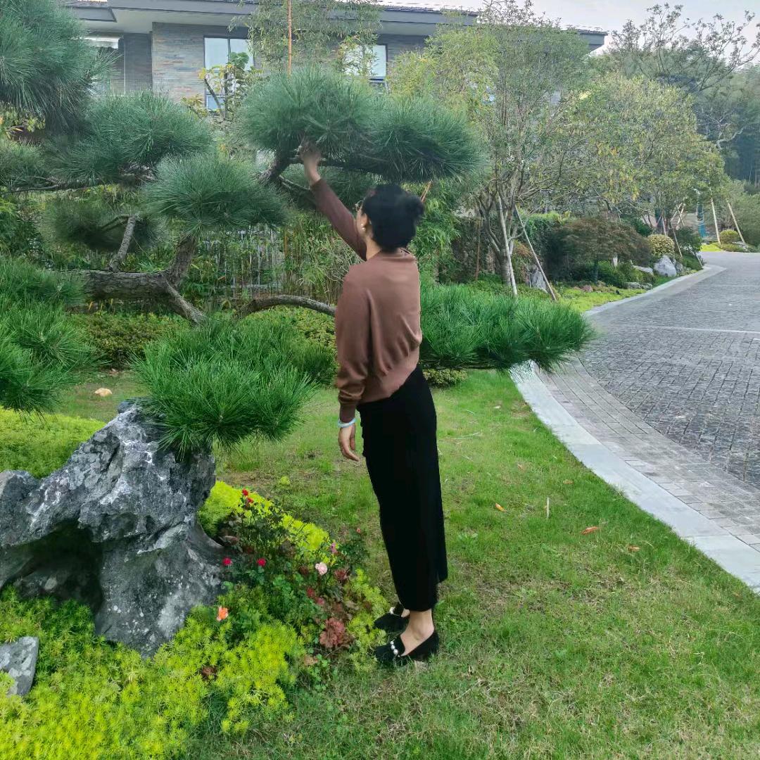 徐姐姐(生活号)