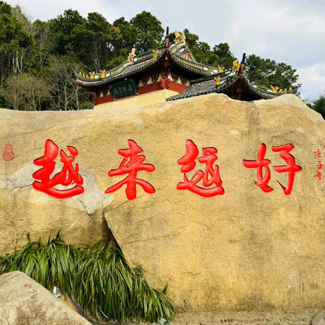阳光正好