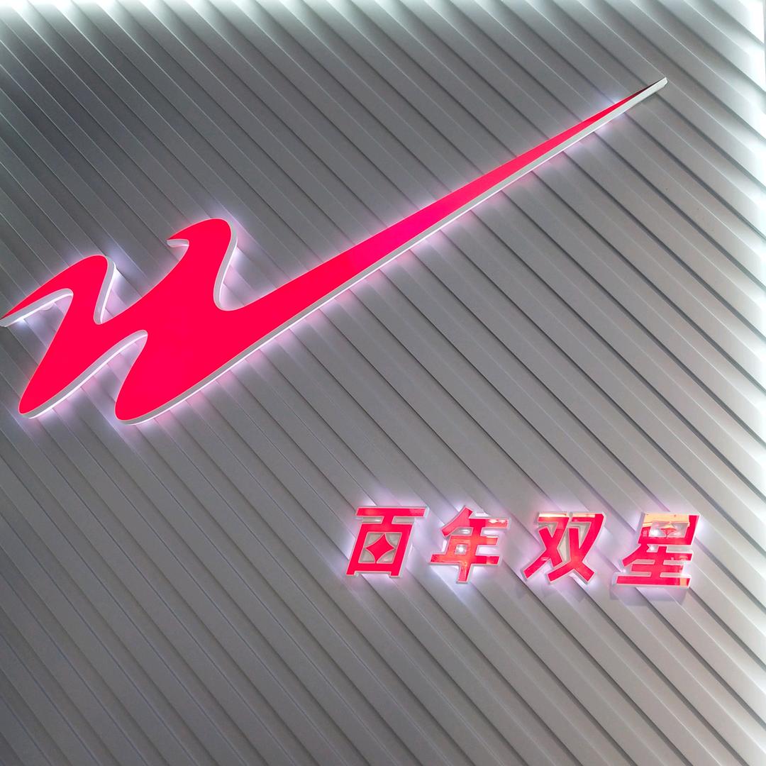 定陶双星名人
