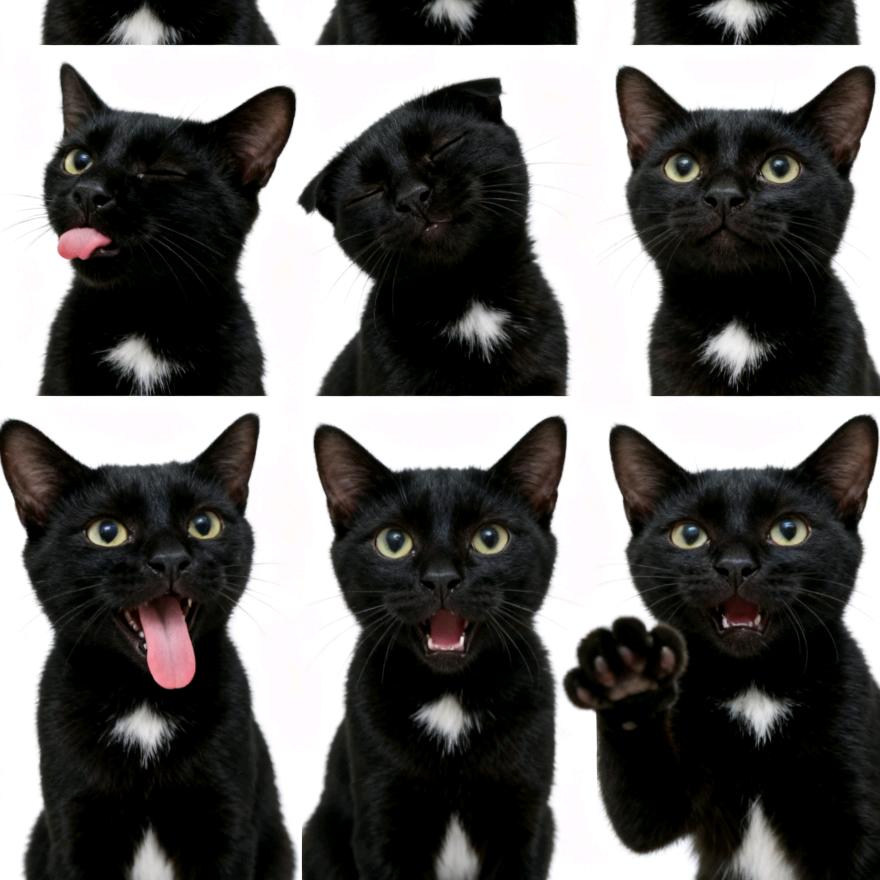 香蕉苹果橘子汁儿