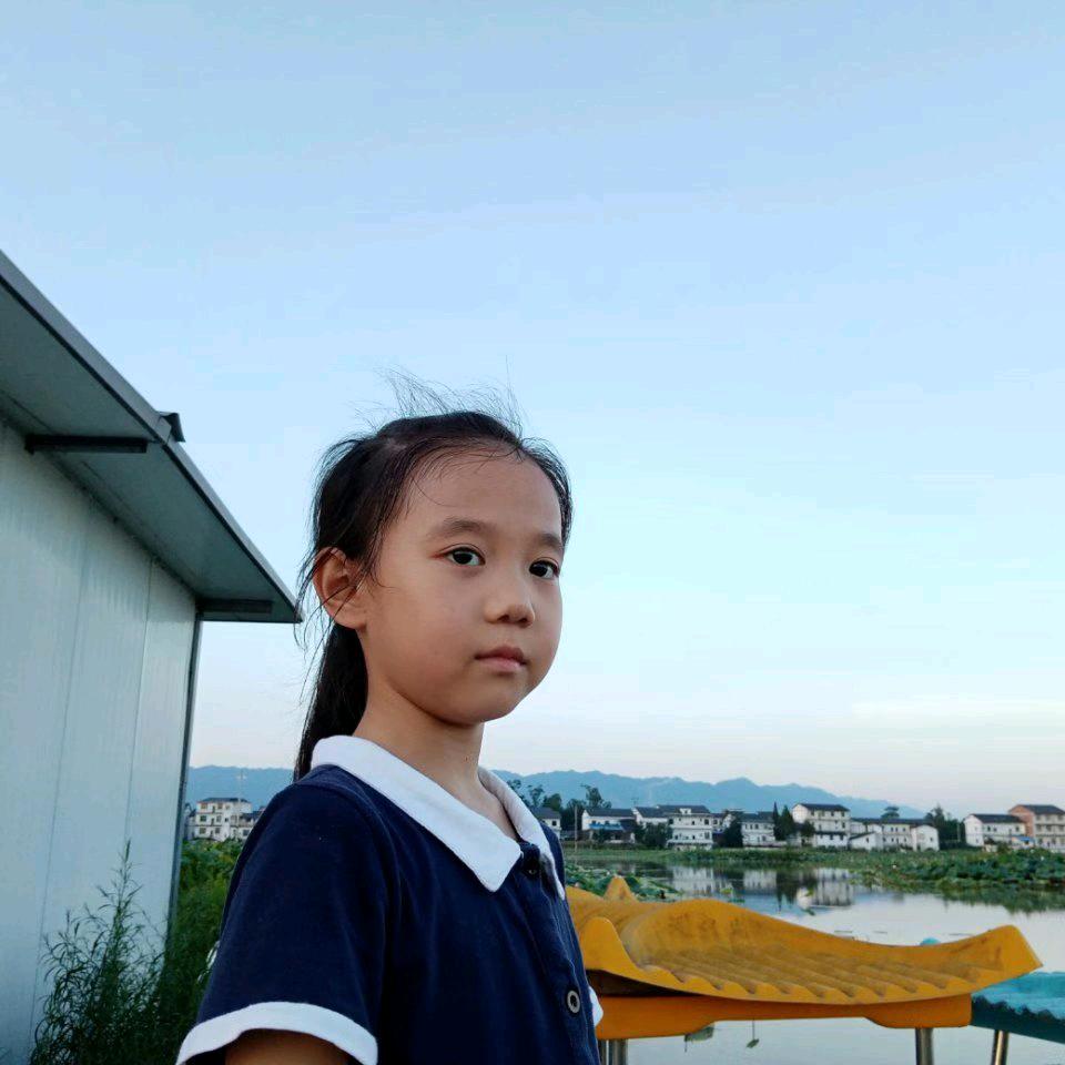 杨琴