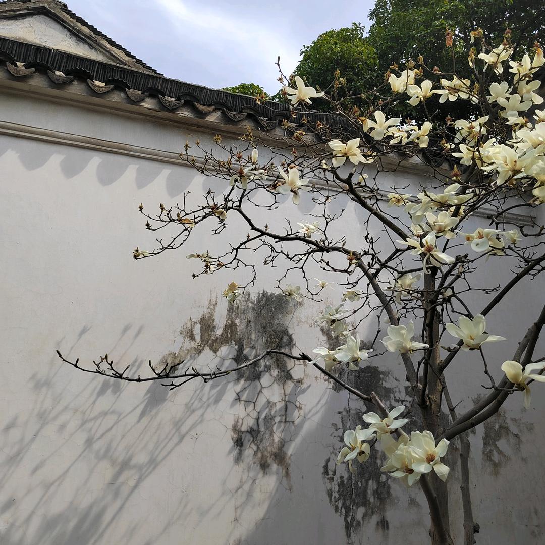 蘇小玉