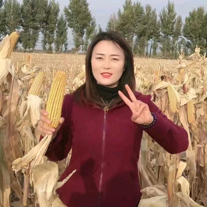 小芳说农业