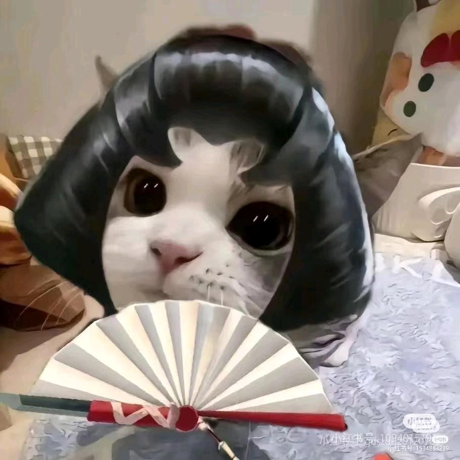 依托熊熊（26年演绎之星请投黄衣之主）