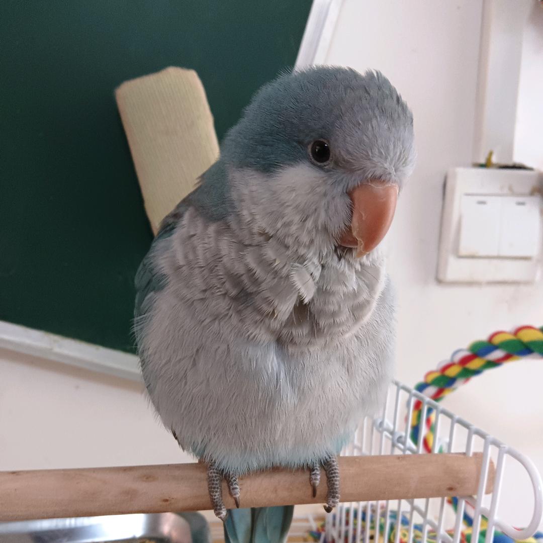 武器强化大师-奥恩