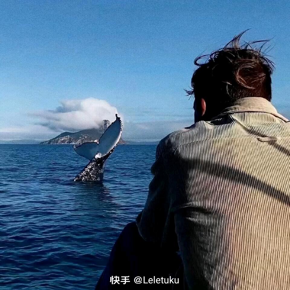 哈喽喽