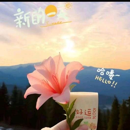 哈佛欧乐浦雪中情梅子