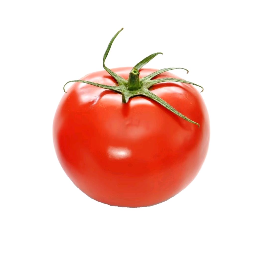 🍅番茄 ￴￴ ￴￴   ￴ ￴