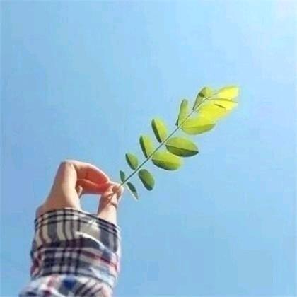 听风在吹