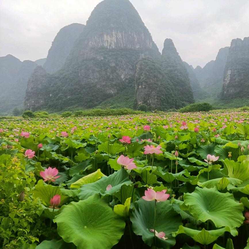 蒙好连绵，锦上添花