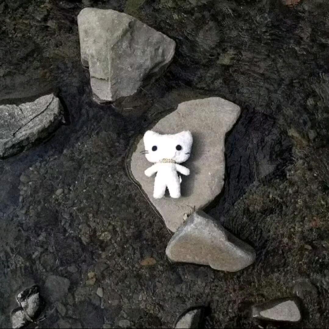 晚饭到底吃什么