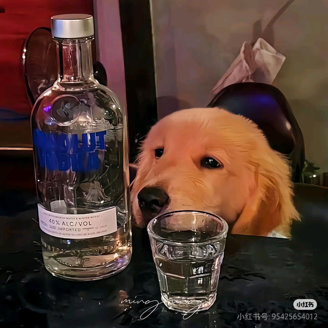 加贝lucky☄️