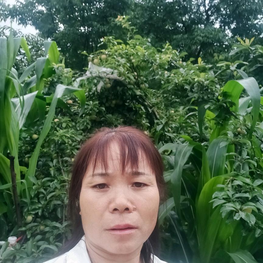 幸福家庭