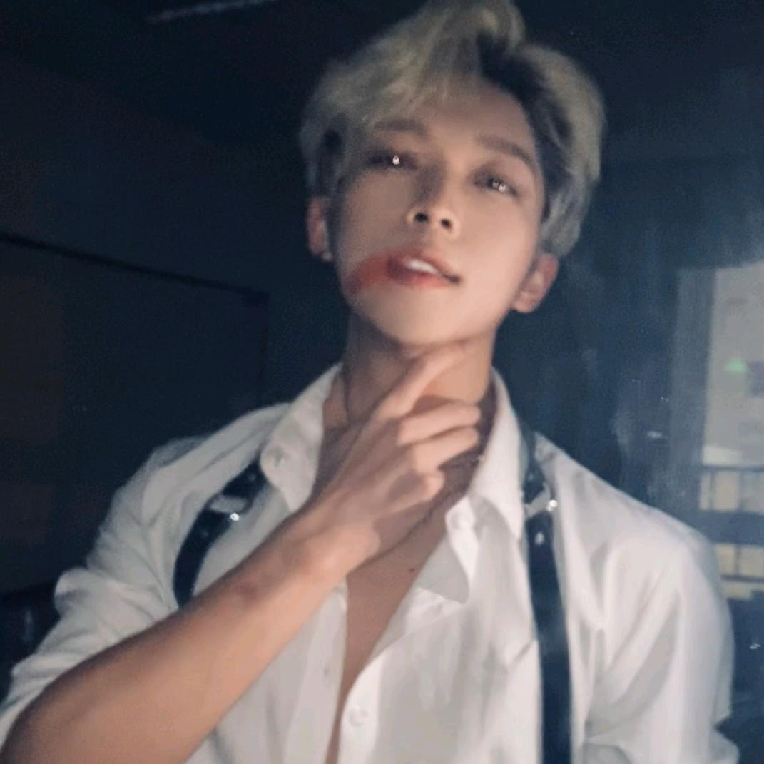 流浪的吉他与猫