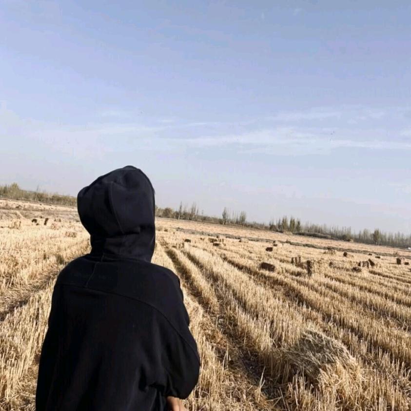 满山🐒我腚最红