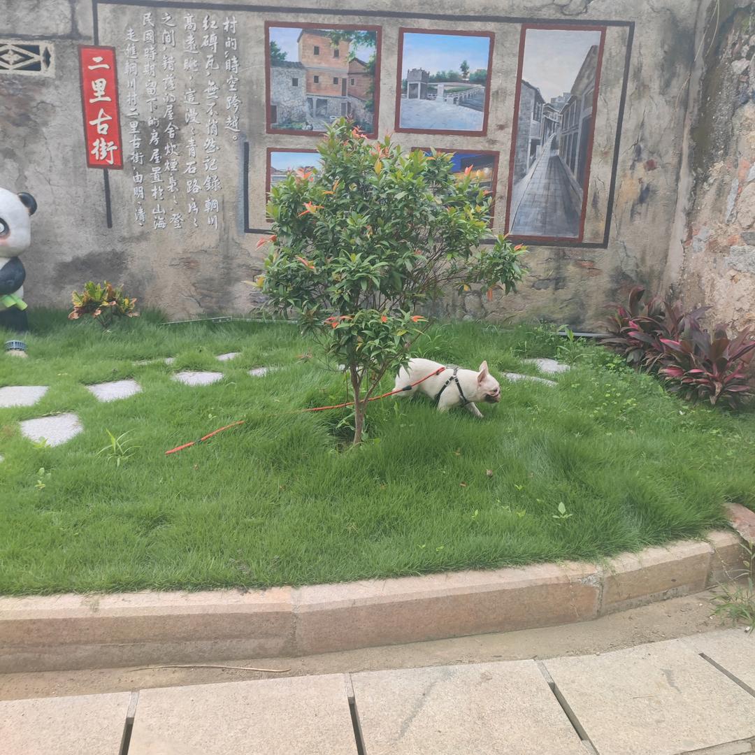 小小陈